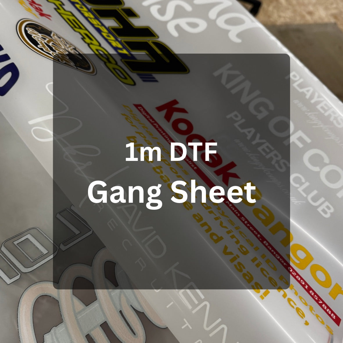 100cm x 54cm DTF gang sheet upload only